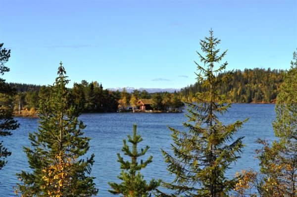 Luksefjell Soner