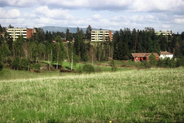 Gulset gård Vestmarka Soner